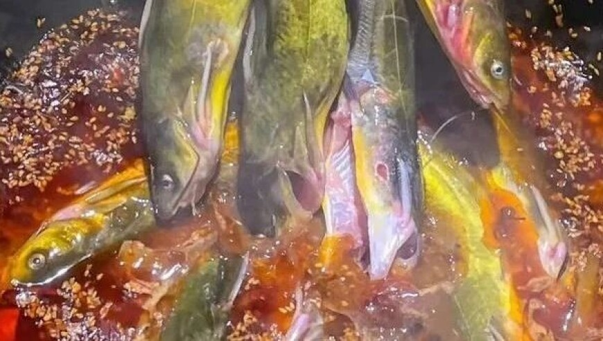 118开奖站一澳门网站记录,陈赫回应被鹿晗关晓彤刷屏,国产化作答解释落实_精简版V4.9